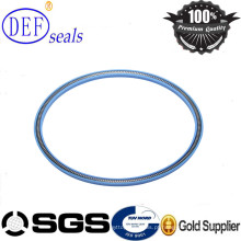 Teflon Face Seals Spring Loaded Seals -PTC